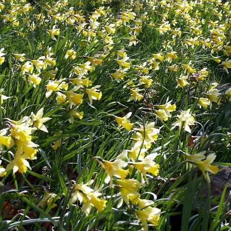 Super Gemuetlich - Daspaterhaus Feriehus *